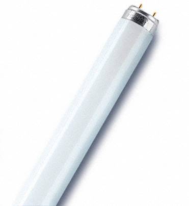30-075 Narva Freshlight Leuchtstoffröhre T8 G13 895mm für die Backwaren Präsentation