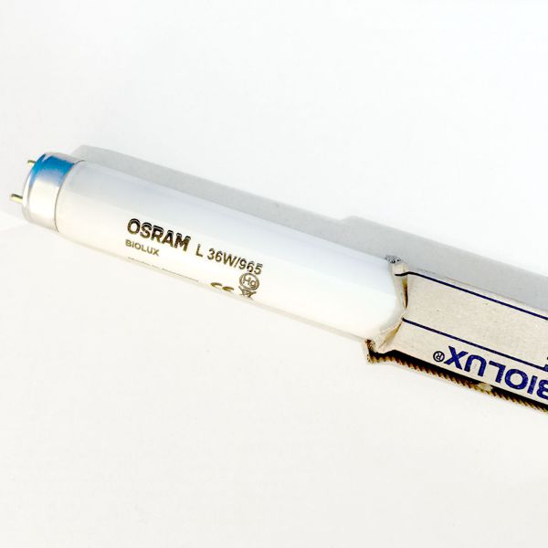 L18W / 965 Biolux Vollspektrum tageslichtweiss