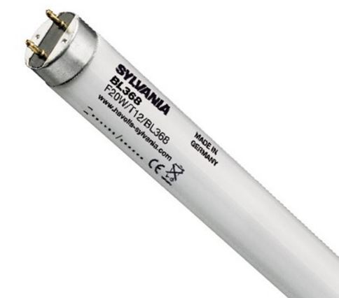 Actinic BL TL 8W/10 G5 288mm Leuchtstoffröhre Philips - Aktinisch UVA