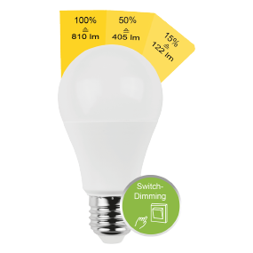 LED SMD Switch Dim Leuchtmittel 8,8W E27 matt LED SMD Switch Dim Leuchtmittel 8,8W E27 matt
